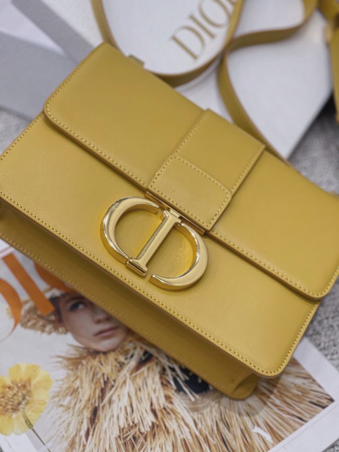 1:1 Replica Celine bag Big H real shot — Premium Replica — photo 6