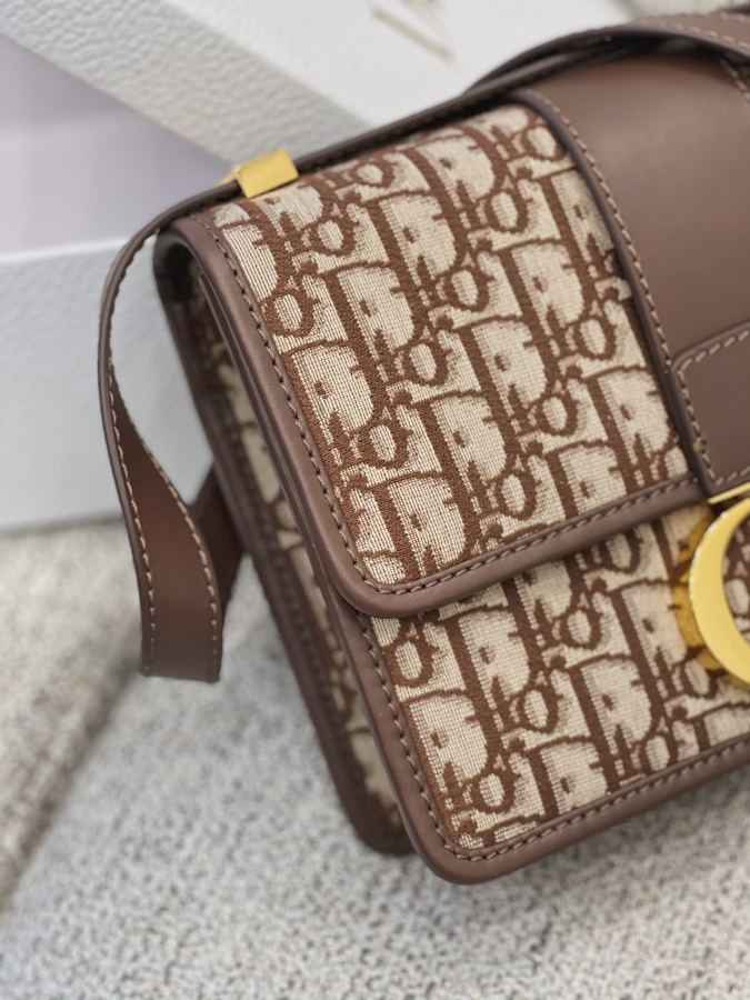 1:1 Replica Celine bag 𝐃𝐢𝟎 𝐫 𝐎𝐛𝐥𝐢𝐪𝐮𝐞 𝐌𝐨𝐧𝐭𝐚𝐢𝐠𝐞 — AAA Quality Replica — photo 4