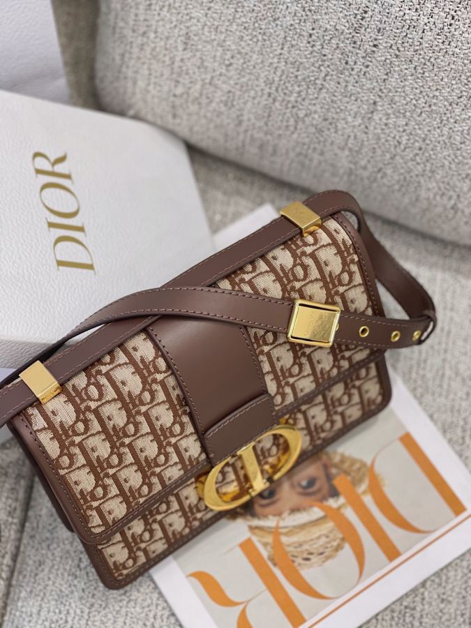 1:1 Replica Celine bag 𝐃𝐢𝟎 𝐫 𝐎𝐛𝐥𝐢𝐪𝐮𝐞 𝐌𝐨𝐧𝐭𝐚𝐢𝐠𝐞 — AAA Quality Replica — photo 8