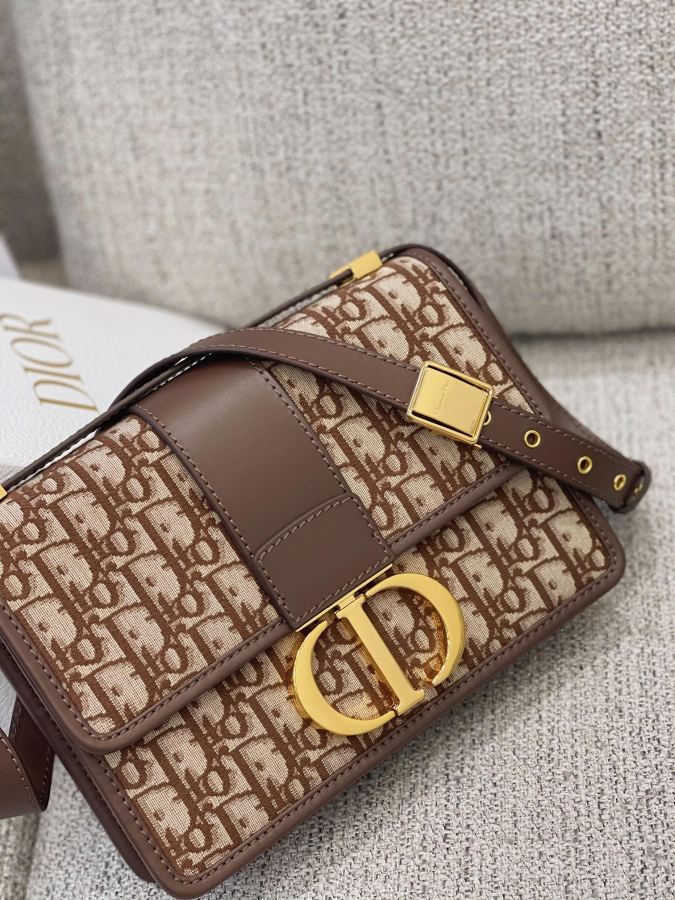 1:1 Replica Celine bag 𝐃𝐢𝟎 𝐫 𝐎𝐛𝐥𝐢𝐪𝐮𝐞 𝐌𝐨𝐧𝐭𝐚𝐢𝐠𝐞 — AAA Quality Replica — photo 3