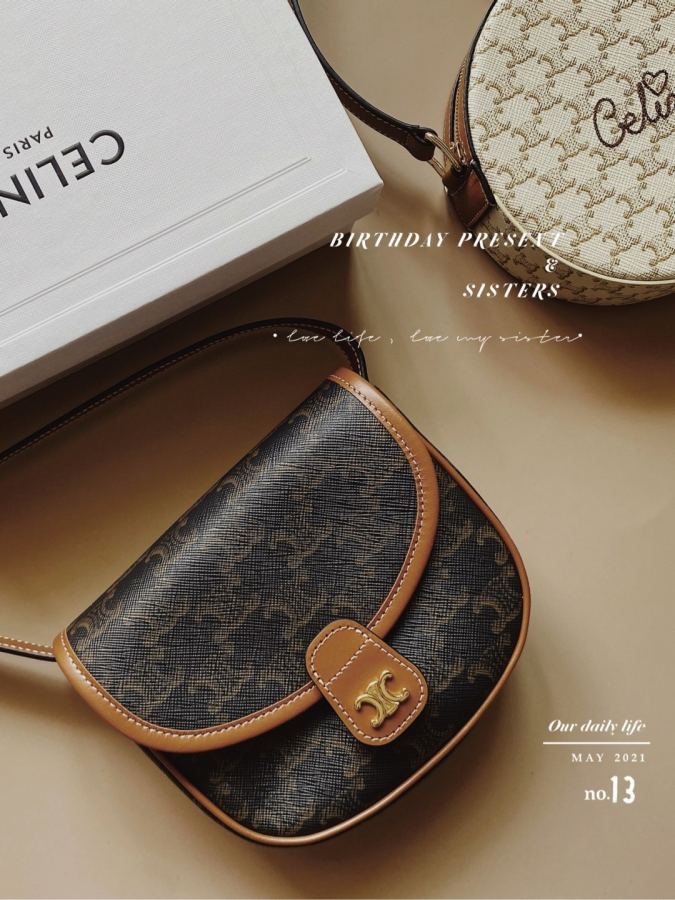 1:1 Replica Celine bag Arc de Triomphe saddle bag — Premium Replica — photo 2
