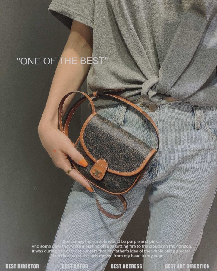 1:1 Replica Celine bag Arc de Triomphe saddle bag — Premium Replica — photo 5