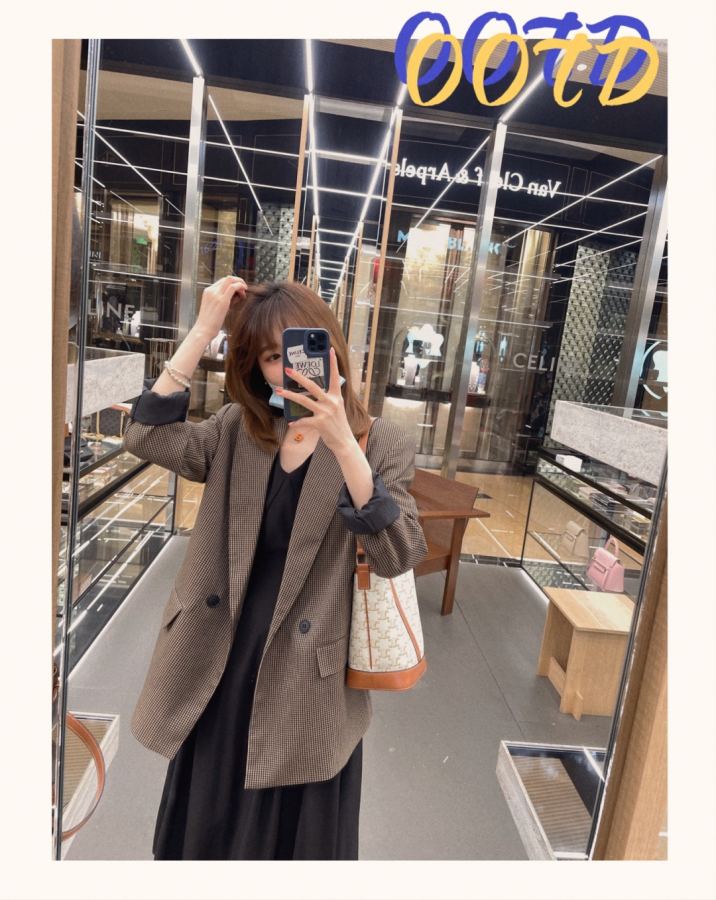 1:1 Replica Celine bag — Premium Replica — photo 6