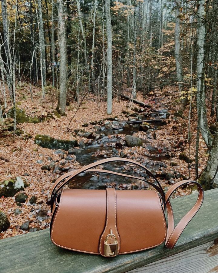 1:1 Replica Celine bag TRIOMPHE — 1:1 Replica — photo 6