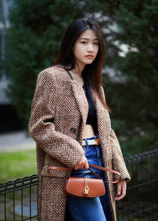 1:1 Replica Celine bag TRIOMPHE — 1:1 Replica — photo 8