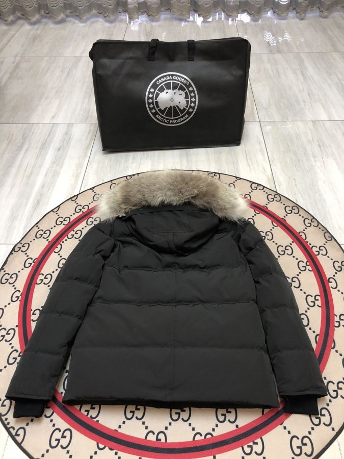 1:1 Replica GOOSE down jacket Wyndham 29 — Premium Replica — photo 2