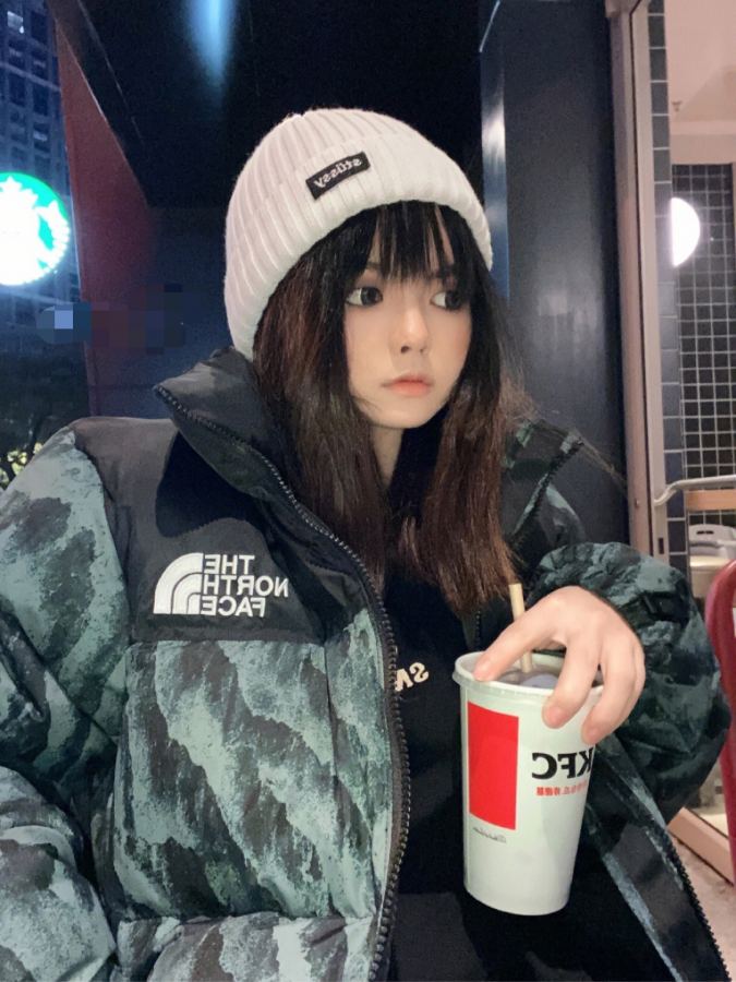 1:1 Replica The North Face Down Jackets, — Premium Replica — photo 3