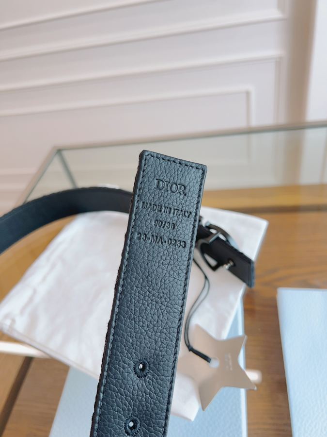1:1 Replica Dior belt 《DIOR》 / Oblique / 3.5 — Premium Replica — photo 7