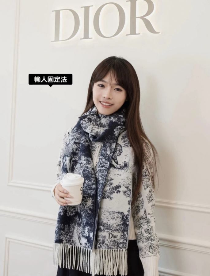 1:1 Replica Dior scarf ¥ — Premium Replica — photo 2