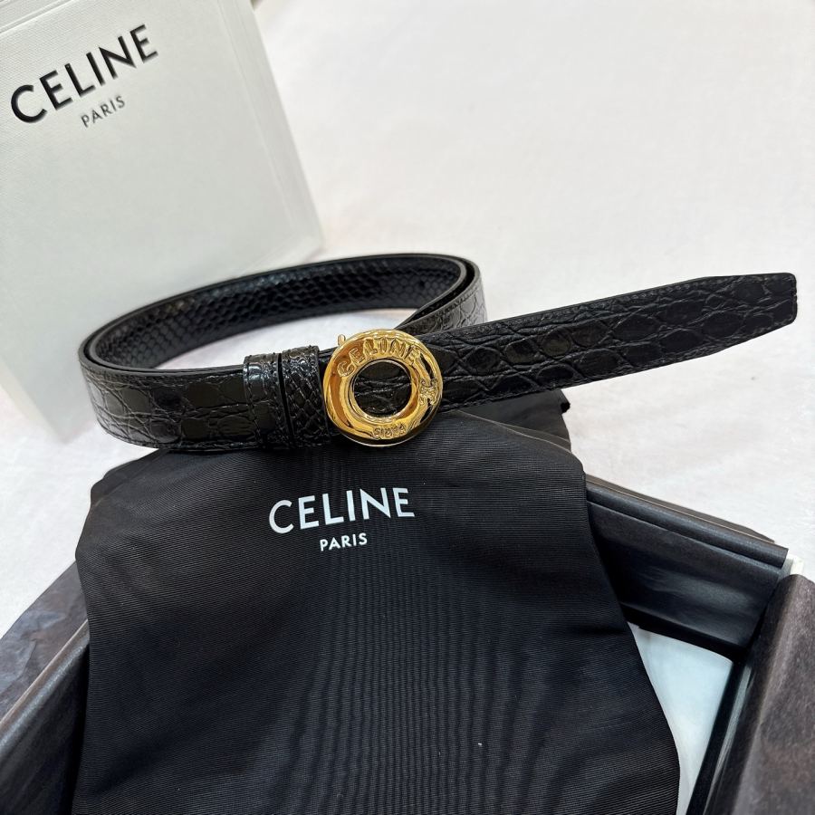1:1 Replica CELINE belt Celine TRIOMPHE — AAA Quality Replica — photo 5