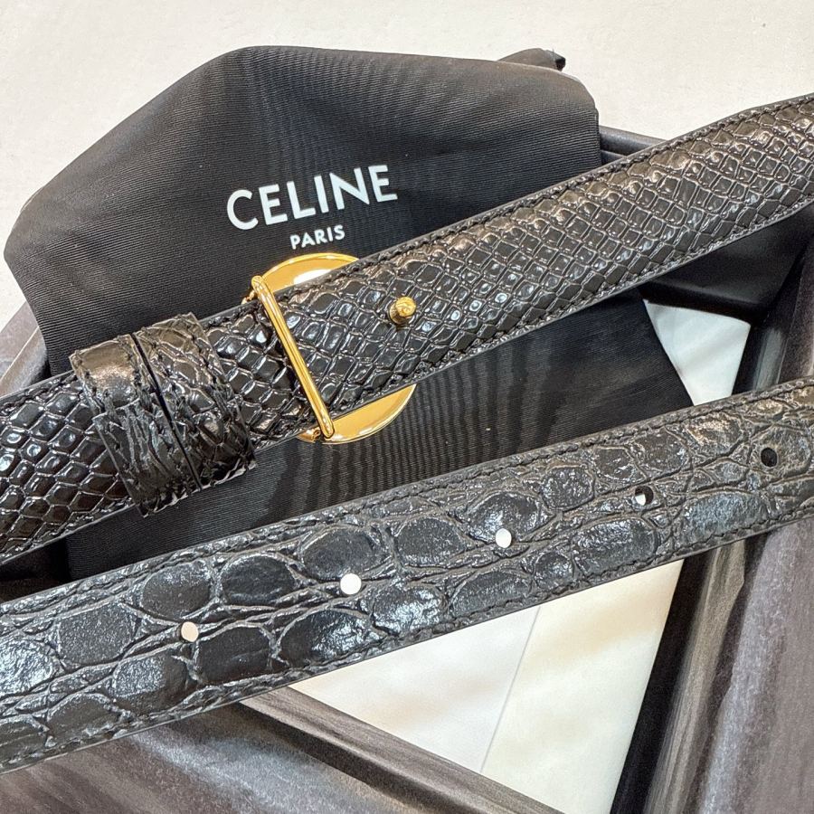 1:1 Replica CELINE belt Celine TRIOMPHE — AAA Quality Replica — photo 4