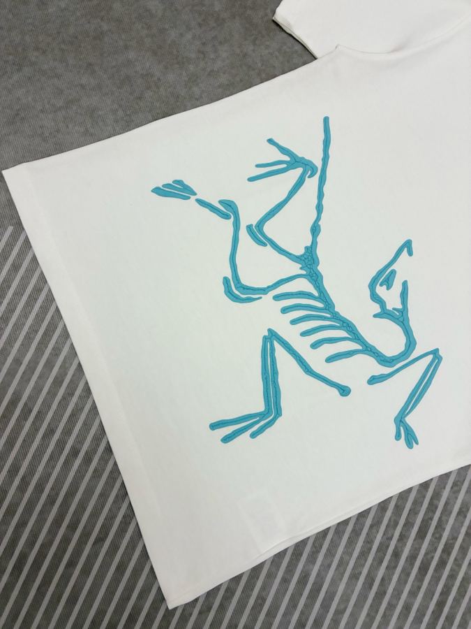 1:1 Replica ARC'TERYX men Arcteryx T — AAA Quality Replica — photo 8