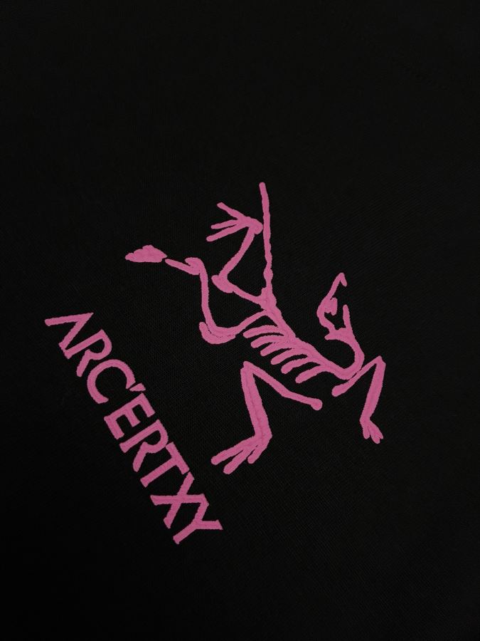 1:1 Replica ARC'TERYX men Arcteryx T — Premium Replica — photo 4