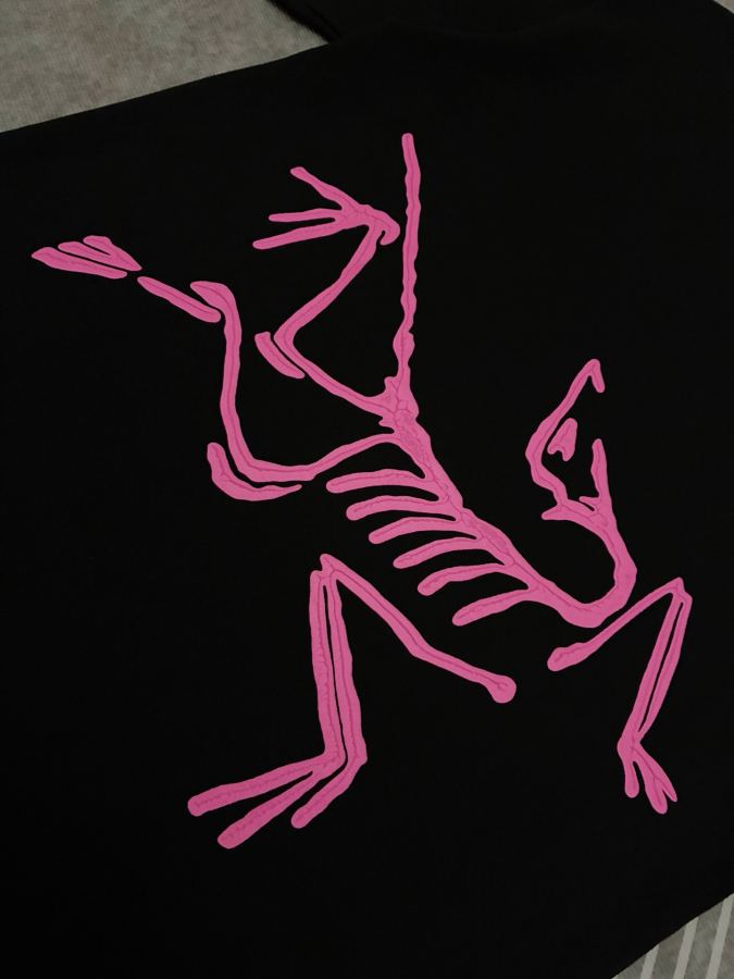 1:1 Replica ARC'TERYX men Arcteryx T — Premium Replica — photo 8
