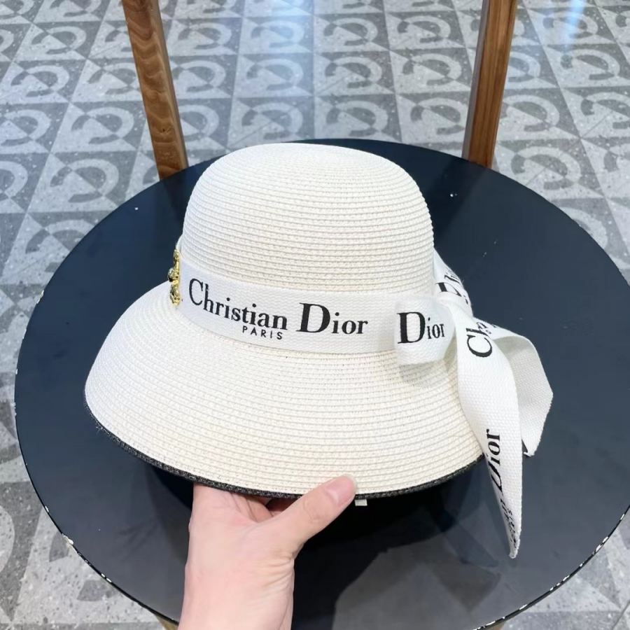 1:1 Replica dior hat Diordior — AAA Quality Replica — photo 8