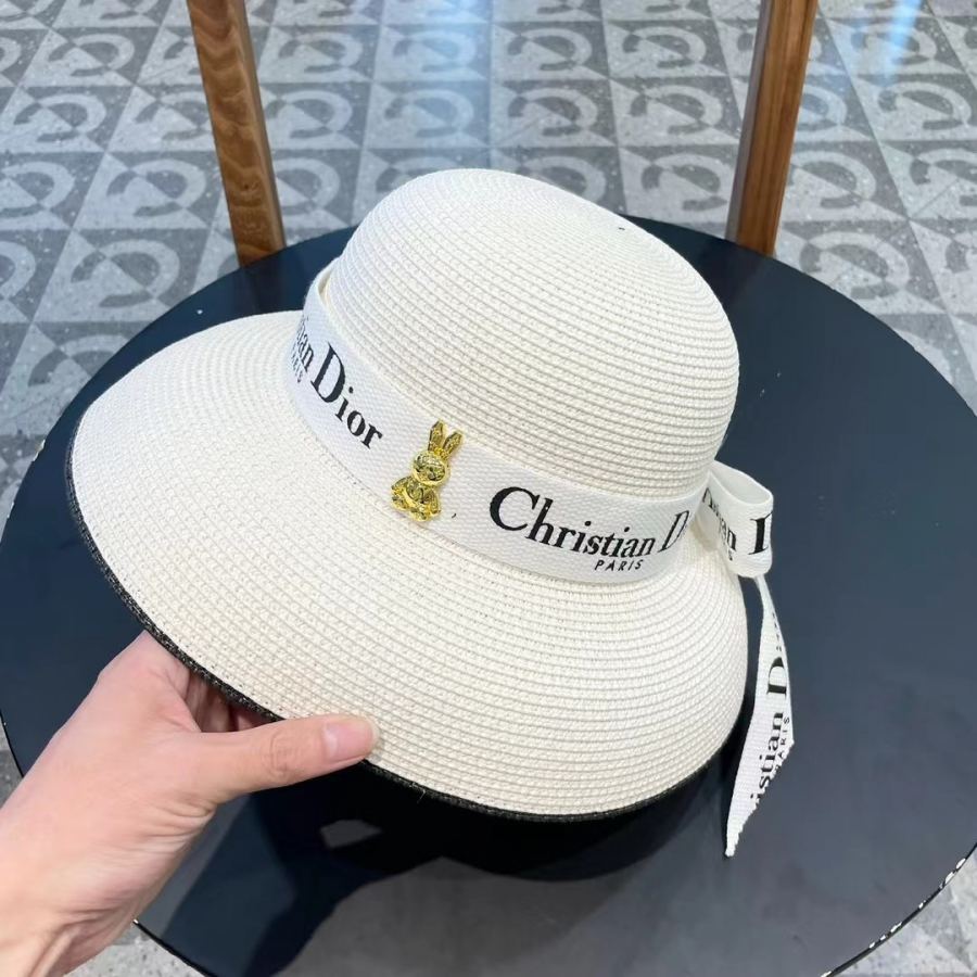 1:1 Replica dior hat Diordior — AAA Quality Replica — photo 6