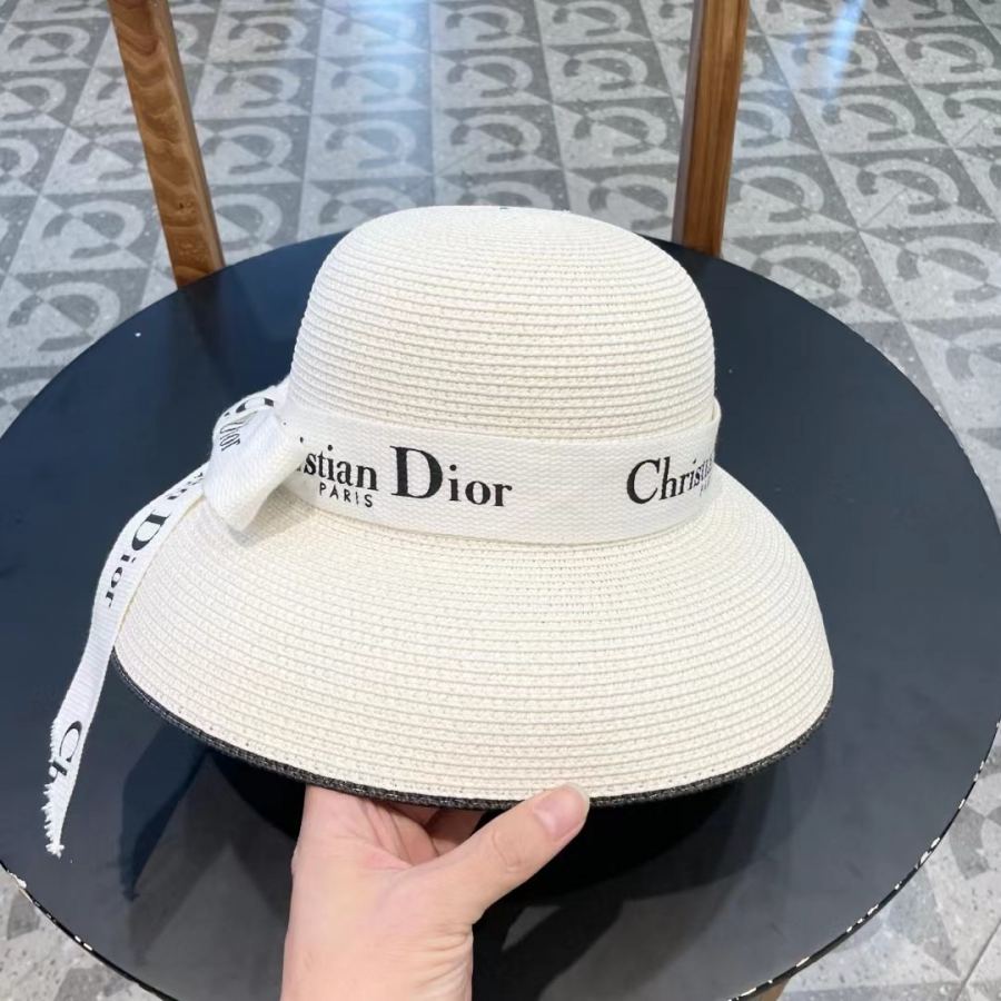 1:1 Replica dior hat Diordior — AAA Quality Replica — photo 2