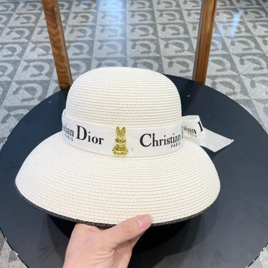 1:1 Replica dior hat Diordior — AAA Quality Replica — photo 3
