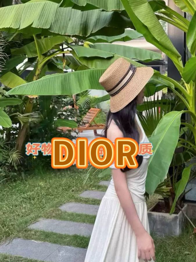 1:1 Replica dior hat DIOR 2026 New — 1:1 Replica