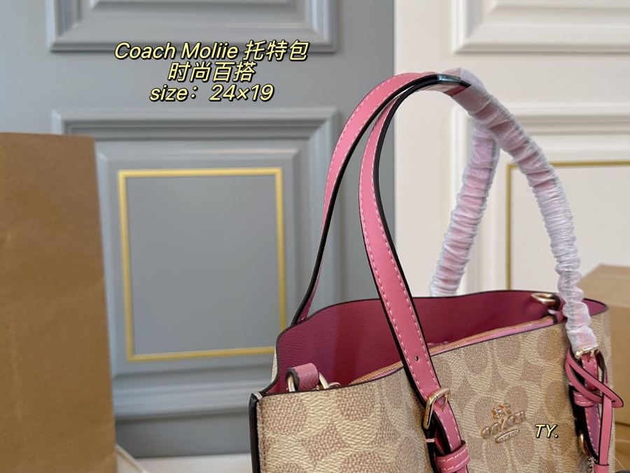 1:1 Replica COACH bag airplane box) — 1:1 Replica — photo 7
