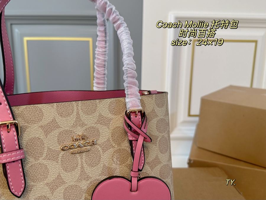 1:1 Replica COACH bag airplane box) — 1:1 Replica — photo 6