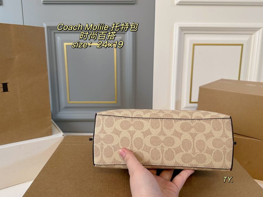 1:1 Replica COACH bag airplane box) — 1:1 Replica — photo 5