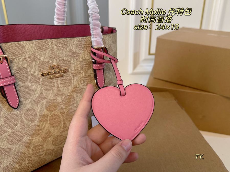 1:1 Replica COACH bag airplane box) — 1:1 Replica — photo 4