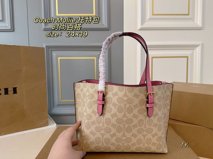 1:1 Replica COACH bag airplane box) — 1:1 Replica — photo 8