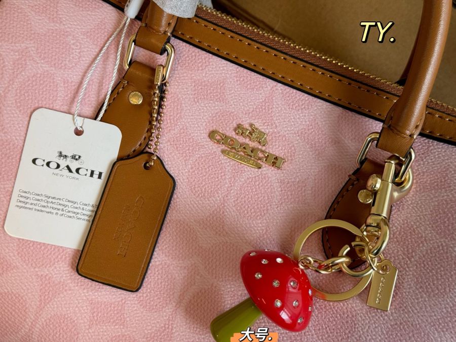 1:1 Replica COACH bag Large size (airplane box) — Premium Replica — photo 2