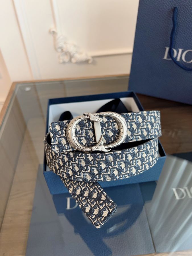 1:1 Replica Dior belt 《DIOR》 / Oblique / 3.5 — AAA Quality Replica — photo 8