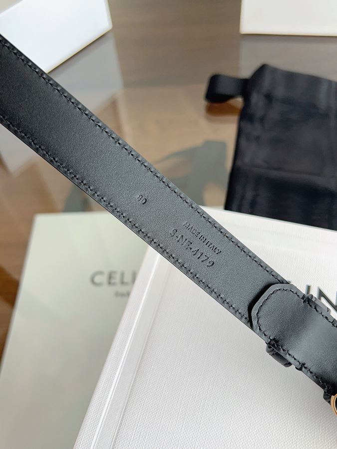 1:1 Replica CELINE belt Céline TRIOMPHE — Premium Replica — photo 9