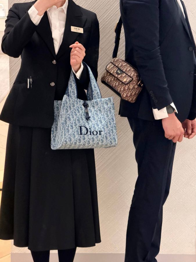 1:1 Replica Dior bag New Arrival — Premium Replica — photo 5