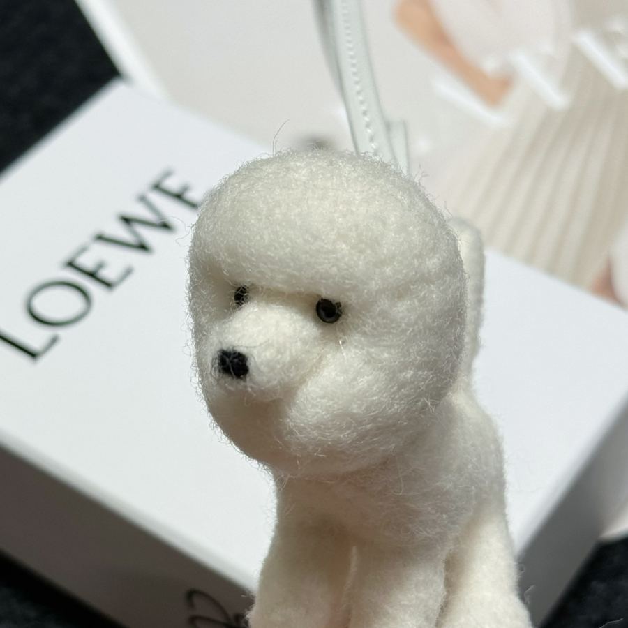 1:1 Replica LOEWE bag Brand new! — Premium Replica — photo 3