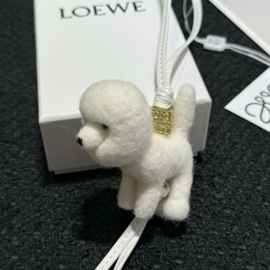1:1 Replica LOEWE bag Brand new! — Premium Replica — photo 5