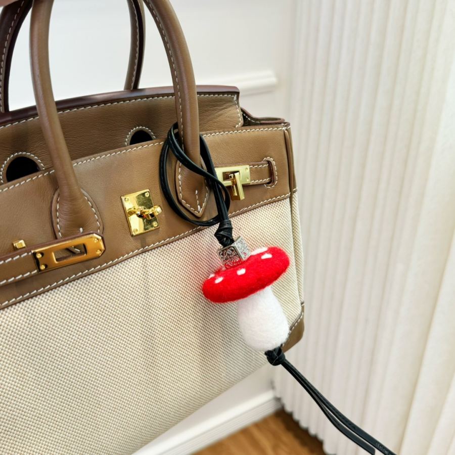 1:1 Replica LOEWE bag Loewe Charm — Premium Replica — photo 7