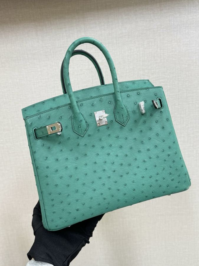 1:1 Replica Hermes bag Birkin25 — Premium Replica — photo 4