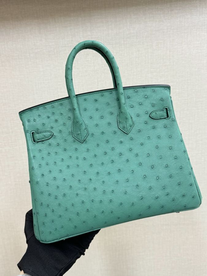 1:1 Replica Hermes bag Birkin25 — Premium Replica — photo 2