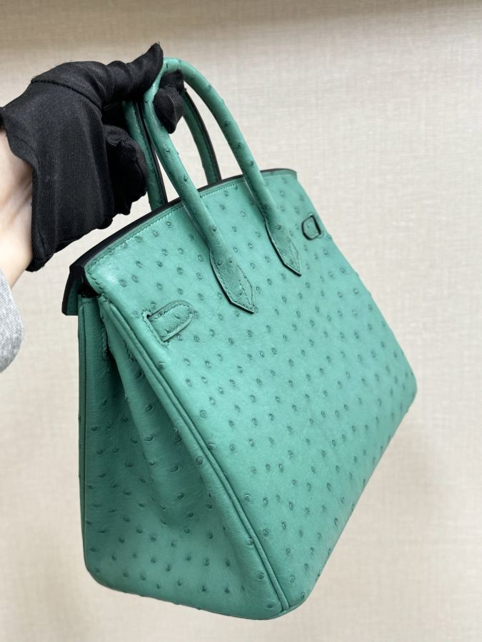1:1 Replica Hermes bag Birkin25 — Premium Replica — photo 5