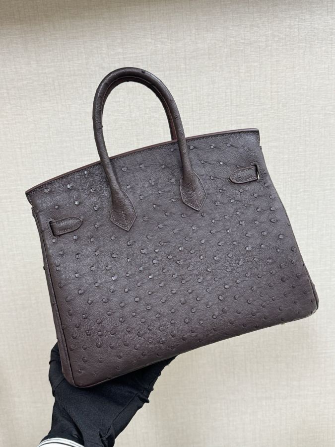 1:1 Replica Hermes bag Birkin25 — Premium Replica — photo 2