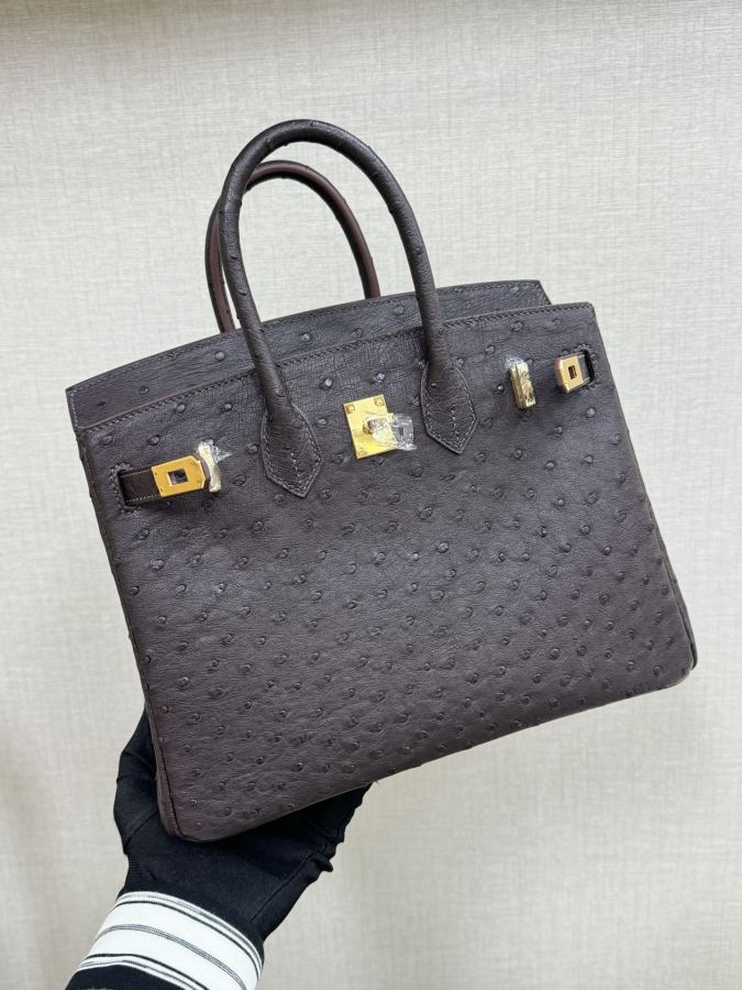 1:1 Replica Hermes bag Birkin25 — Premium Replica — photo 4