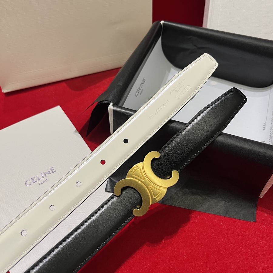 1:1 Replica CELINE belt Celine/ 2.5cm — AAA Quality Replica — photo 5
