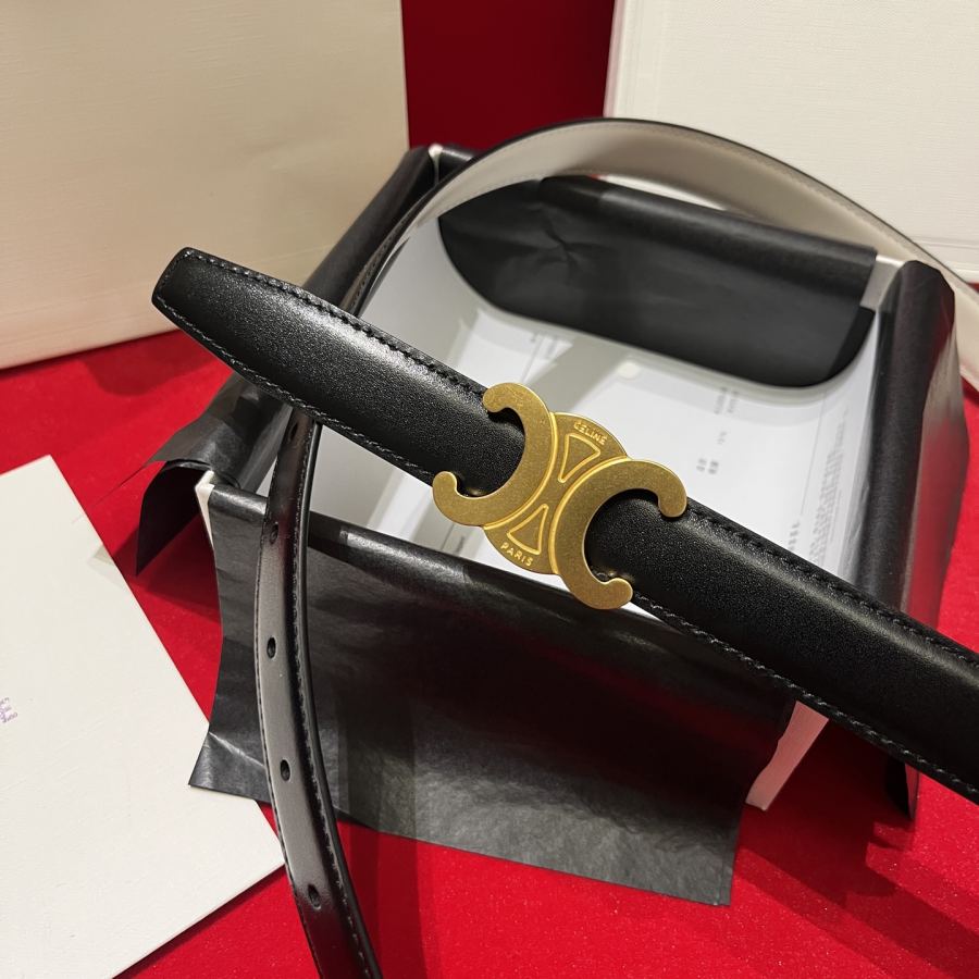 1:1 Replica CELINE belt Celine/ 2.5cm — AAA Quality Replica — photo 4