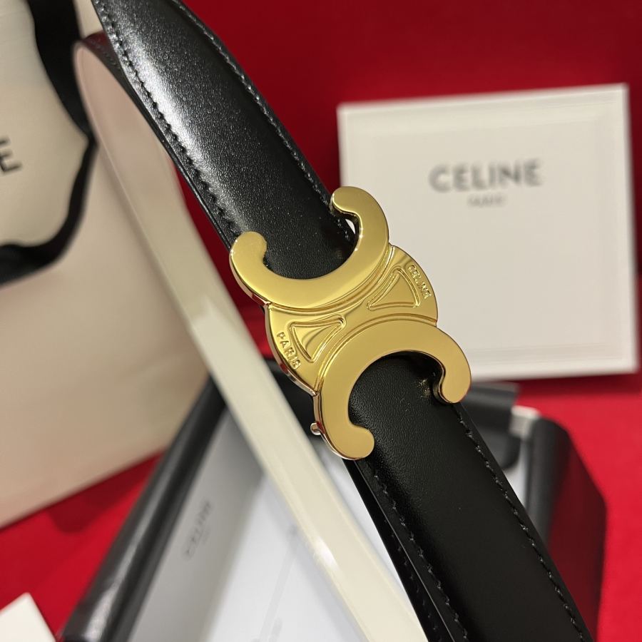 1:1 Replica CELINE belt Celine/ 2.5cm — AAA Quality Replica — photo 2