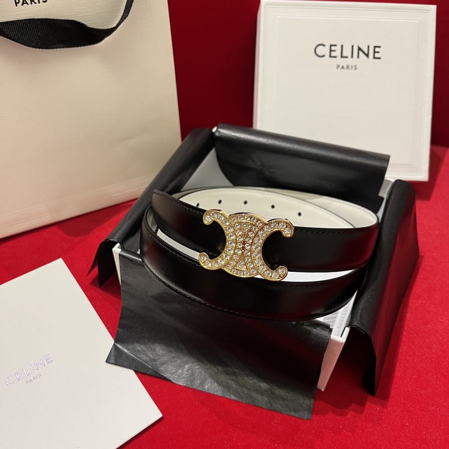 1:1 Replica CELINE belt Celine/ 2.5cm — AAA Quality Replica — photo 9