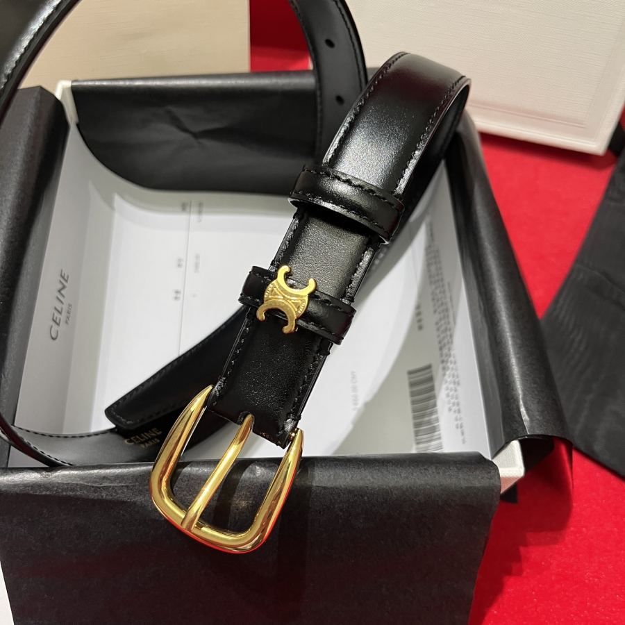 1:1 Replica CELINE belt Celine/ 2.5cm — 1:1 Replica — photo 9