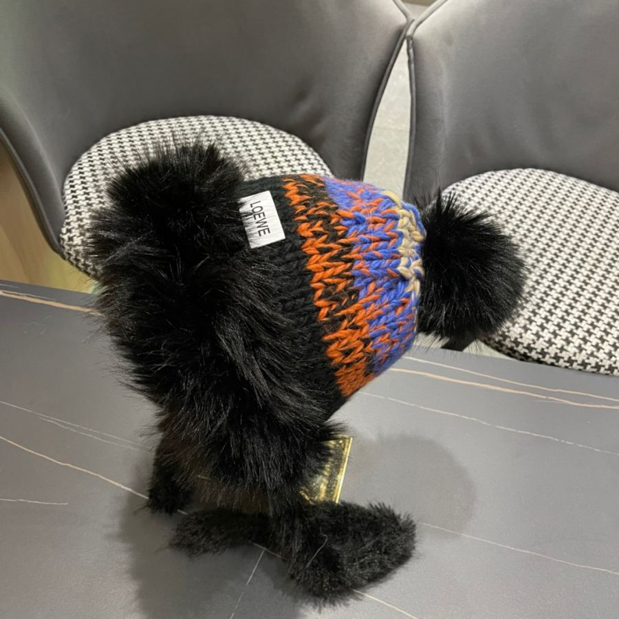 1:1 Replica Loewe hat Loewe New — Premium Replica — photo 6