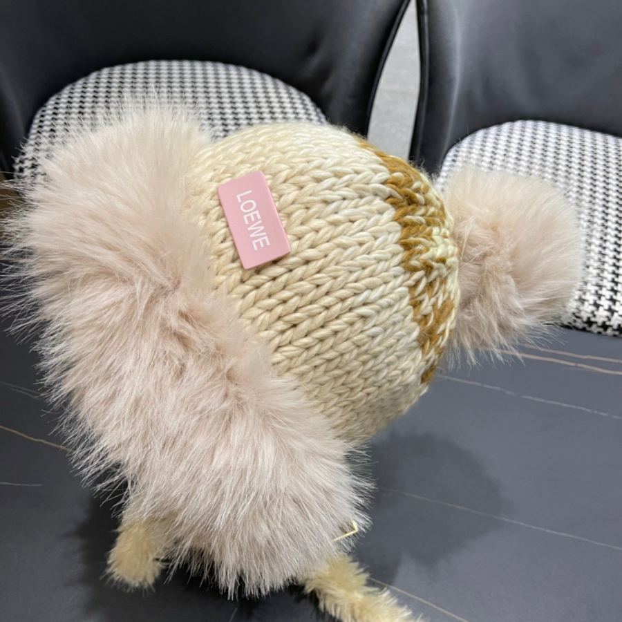 1:1 Replica Loewe hat Loewe New — Premium Replica — photo 3
