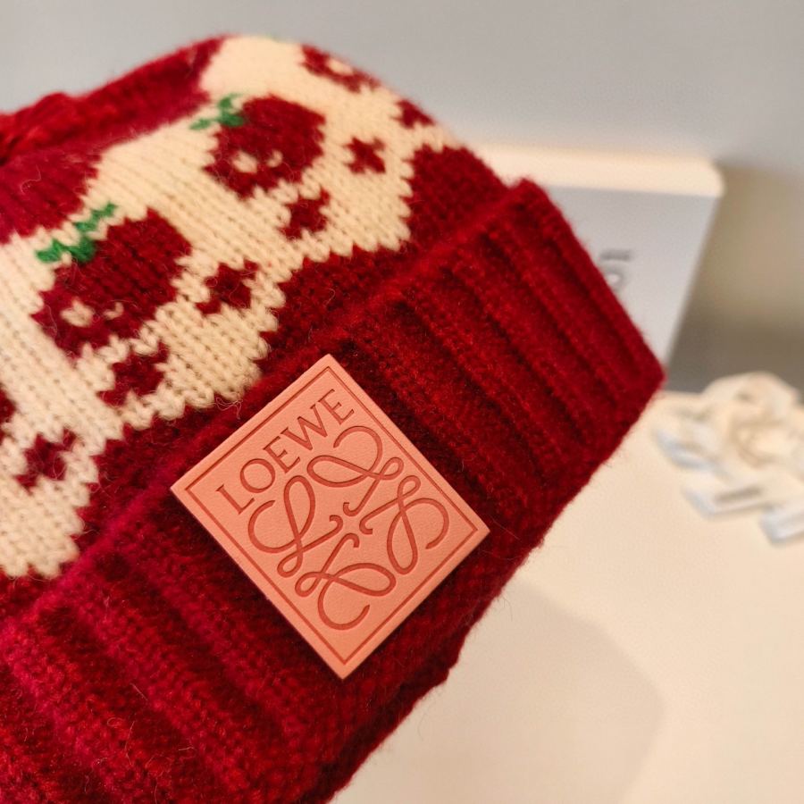 1:1 Replica Loewe hat New # — Premium Replica — photo 6