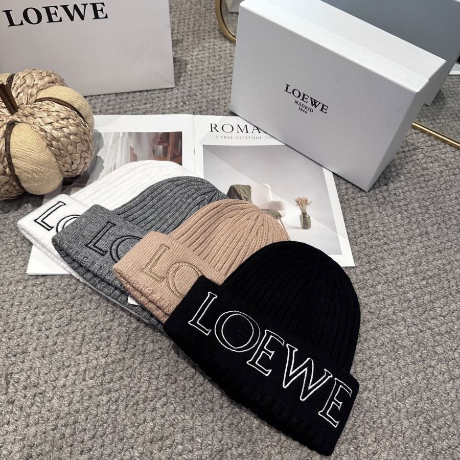1:1 Replica Loewe hat LOEWE New 4 — Premium Replica — photo 9