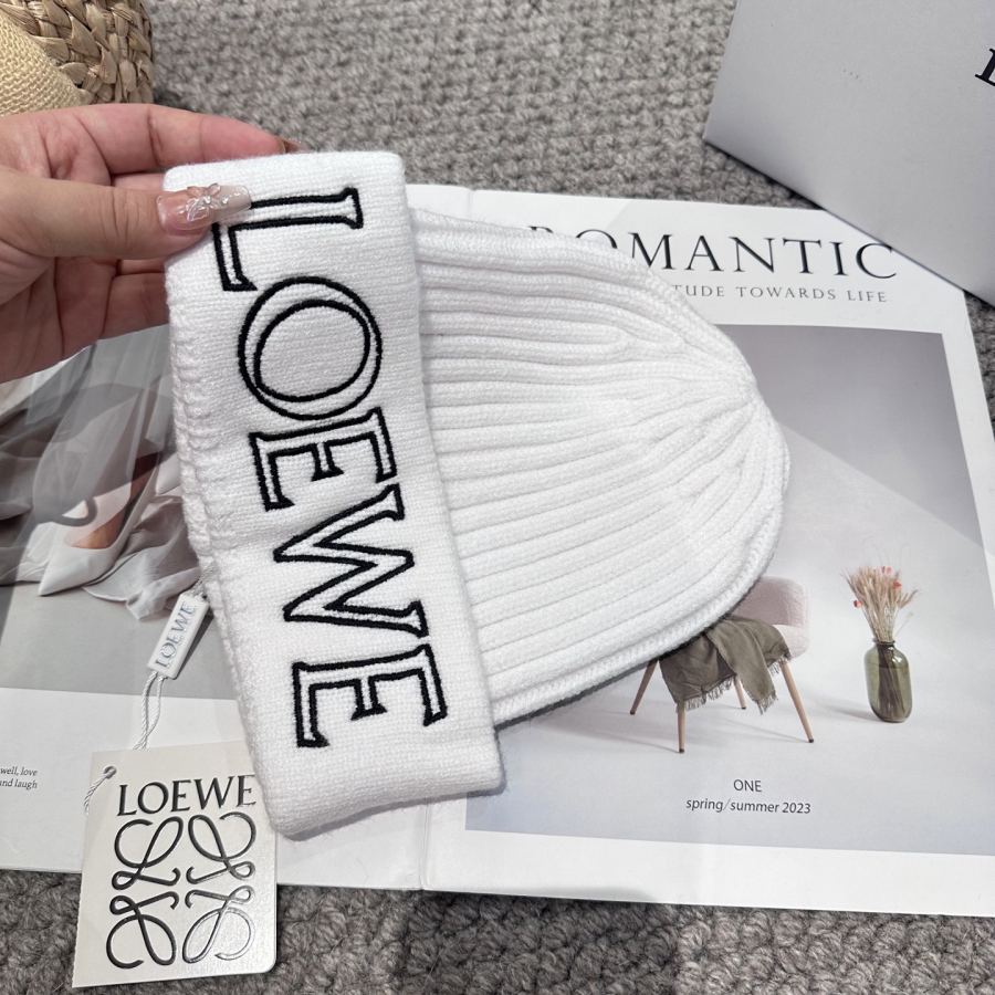 1:1 Replica Loewe hat LOEWE New 4 — Premium Replica — photo 4